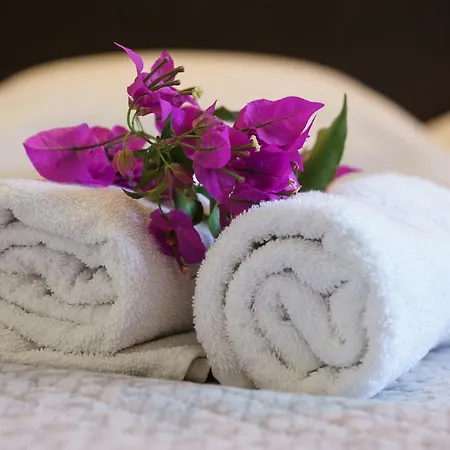 Irini 3* スキロス